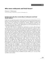 Who owns embryonic and fetal tissue