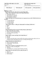 ĐỀ THI KHOA HỌC HKI