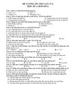 1@Đề cương ôn thi Lý 6(Trắc Ng)2010-2011