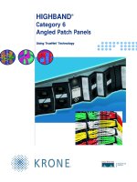 HIGHBAND® Category 6 Angled Patch Panels