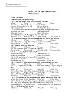 DE CUONG ON TAP  SU 7(HK I)2010-2011