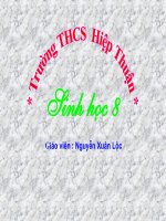 Bài giảng Tiết 13. máu và môi trường trong cơ thể