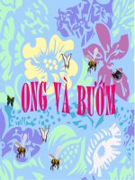 Tài liệu Ong Và Bướm