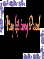 bài10:vòng_lặp_trong_Pascal_THPT-NguyenHue-11a1-Q9-Tphcm