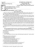 ĐE KIEM TRA DINH KI LAN 2 LOP 5