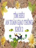 Tài liệu Tìm hiểu ATGT khối 2