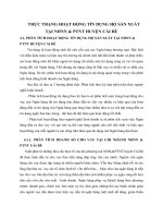 THỰC TRẠNG HOẠT ĐỘNG TÍN DỤNG HỘ SẢN XUẤT TẠI NHNN & PTNT HUYỆN CÁI BÈ