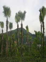 Tài liệu Unit 11 : Books, reading