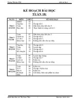 GA LỚP 4 TUẦN 18 CKTKN 2010 -2011