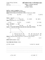 DE THI CAC MON T+TV+KH+LS+DL (co dap an)