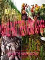 Vấn đề nông nghiệp - Địa lý 12