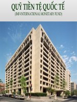Quỹ tiền tệ quốc tế IMF 