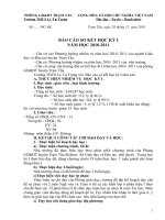 BÁO CÁO SƠ KẾT HỌC KÌ I