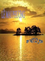 bài dòng điện trong chất điện phân