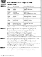 Motion - nuances of pace and movement