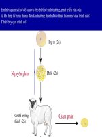 Gián án bai 21.Giam phan