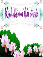 nhat ban giua 2 cuoc CTTG