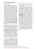 Color Atlas of Pharmacology (Part 23): Antibacterial Drugs