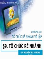 Tổ chức rẽ nhánh và lặp
