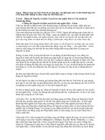 Gián án Bài thi tìm hiểu lịch sử Đảng CSVN