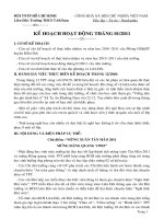 Gián án Kế hoạch hoạt động Tháng 01/2011