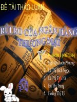 Rủi ro của các ngân hàng thương mại 