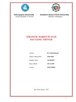 Chiến lược tiếp thị của tỉnh bắc giang, việt nam 