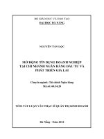 Mở rộng tín dụng doanh nghiệp tại chi nhánh ngân hàng đầu tư và phát triển gia lai 