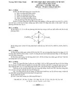 Bài soạn de hoa hay hsg