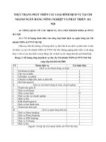 THỰC TRẠNG PHÁT TRIỂN CÁC LOẠI HÌNH DỊCH VỤ TẠI CHI NHÁNH NGÂN HÀNG NÔNG NGHIỆP VÀ PHÁT TRIỂN  HÀ NỘI