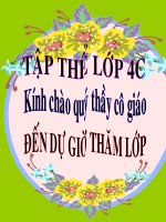 Chính tả tuần 31:  Nghe lời chim nói