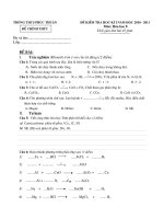 de thi hki hoa hoc 2010 - 2011