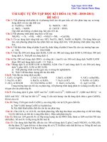 Tự Học Ôn Thi HKI Hóa 11 ( 2010-2011)