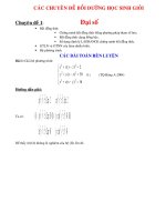 Chuyên đề bồi dưỡng HSG Toán THPT