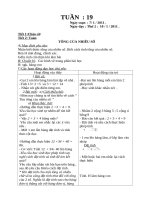 Tài liệu giáo án lớp2-Tuần 19-CKT-KNS