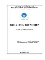 GIẢI PHÁP NÂNG CAO HIỆU QUẢ HUY ĐỘNG vốn tại NGÂN HÀNG THƢƠNG mại cổ PHẦN NGOẠI THƯƠNG VIỆT NAM – CHI NHÁNH hải PHÒNG 