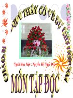 Bài giảng GADT TẬP ĐỌC