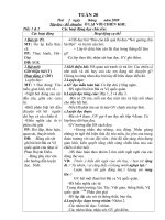 Gián án Bài soạn lớp 3 - Tuần 20