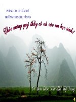 tiet 63-ôn tập tiếng Việt