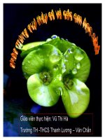 Bài giảng Tiết 39; Sơ lươc bảng tuần hoàn các nguyên tố hóa học