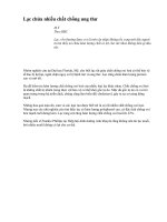 Lạc chứa nhiều chất chống ung thư