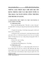 NHỮNG GIẢI PHÁP HẠN CHẾ RỦI RO TÍN DỤNG TRONG CHO VAY HỘ CHĂN NUÔI CÁ TRA BASA TẠI NGÂN HÀNG CÔNG THƯƠNG CHI NHÁNH AN GIANG