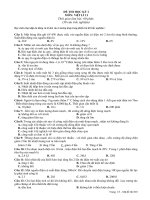 De kiem tra hoc ky 1  Lop 11 hp