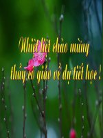 Giáo án tham dự thi GVG đạt giải nhì