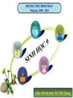 Gián án Tiết 39 Cac phuong phap chon loc