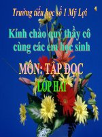 Tài liệu TDL2 Mua xuan den