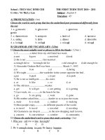 Bài giảng Tiếng Anh 8 HK I 2010 - 2011