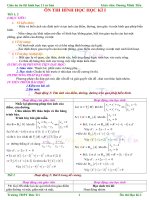 Giáo án ôn thi Hình Học 11 cơ bản HKI