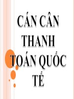 Cán cân thanh toán quốc tế 