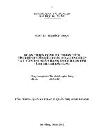 Hoàn thiện công tác phân tích tình hình tài chính các doanh nghiệp vay vốn tại ngân hàng TMCP hàng hải   chi nhánh đà nẵng 